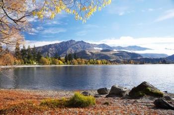 Glendhu Bay, Lake Wanaka, Otago, South Island, New Zealand | Obraz na stenu