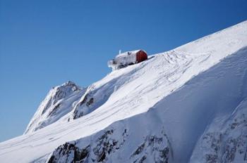 Hut, Franz Josef Glacier, South Island, New Zealand | Obraz na stenu