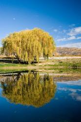 Domain Road Vineyard, Bannockburn, South Island, New Zealand | Obraz na stenu