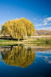 Domain Road Vineyard, Bannockburn, South Island, New Zealand | Obraz na stenu