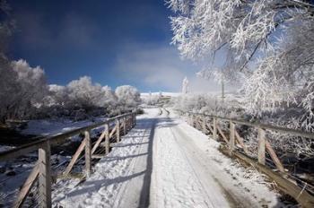 Winter, Bridge, Maniototo, South Island, New Zealand | Obraz na stenu