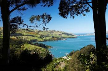 Careys Bay, Otago Harbour, South Island, New Zealand | Obraz na stenu