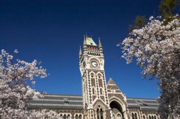Spring, Clock Tower, Dunedin, South Island, New Zealand (horizontal) | Obraz na stenu