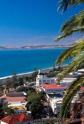 View of Hawke's Bay, Napier, New Zealand | Obraz na stenu