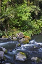 New Zealand, Hatea River, Whangarei Falls, Northland | Obraz na stenu