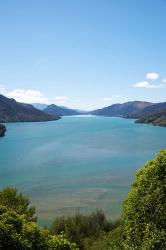 Mahakipawa Arm, South Island, New Zealand | Obraz na stenu