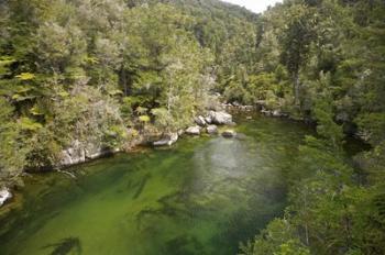 Falls River, Abel Tasman, South Island, New Zealand | Obraz na stenu