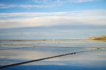 New Zealand, South Isl, Evaporation Ponds, Lake Grassmere | Obraz na stenu