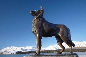 New Zealand, South Island, Lake Tekapo, Sheep Dog Statue | Obraz na stenu