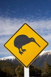 New Zealand, South Island, Road Sign, St Arnaud Range | Obraz na stenu