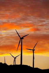 New Zealand, North Island, Te Apiti Wind Farm, Energy | Obraz na stenu