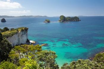 Stingray Bay, Cathedral Cove, North Island, New Zealand | Obraz na stenu