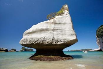 Rock formation, Mares Leg Cove, North Island, New Zealand | Obraz na stenu
