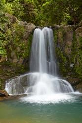 Waiau Waterfall near 309 Road, Coromandel Peninsula, North Island, New Zealand | Obraz na stenu