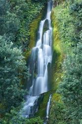Waterfall, Centennial Gardens, Napier, Hawkes Bay, North Island, New Zealand | Obraz na stenu