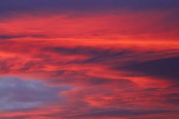 Clouds, Sunset, Dunedin, Otago, South Island, New Zealand | Obraz na stenu