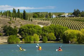 Kayakers and vineyard, Bannockburn Inlet, Lake Dunstan, Central Otago, South Island, New Zealand | Obraz na stenu