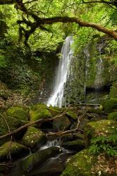 Matai Falls, Catlins, South Otago, South Island, New Zealand | Obraz na stenu