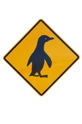 Penguin Warning Sign, New Zealand | Obraz na stenu