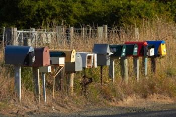 Rural Letterboxes, Otago Peninsula, Dunedin, South Island, New Zealand | Obraz na stenu