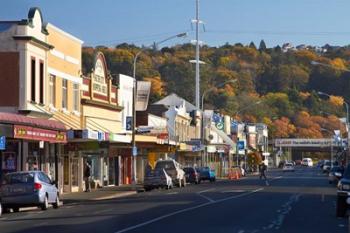 Shops on King Edward Street, Autumn, Dunedin, South Island, New Zealand | Obraz na stenu