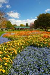 Flower garden, Pollard Park, Blenheim, Marlborough, South Island, New Zealand (vertical) | Obraz na stenu
