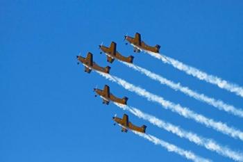 The Red Checkers Aerobatic Display Team with CT-4B Airtrainers | Obraz na stenu