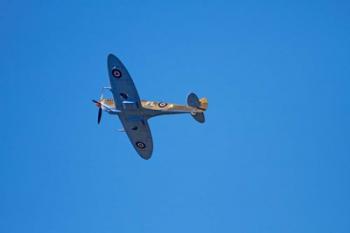 Tandem Supermarine Spitfire Trainer, British and allied WWII War Plane | Obraz na stenu