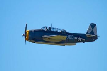 Grumman Avenger, Warbirds over Wanaka, War plane, New Zealand | Obraz na stenu