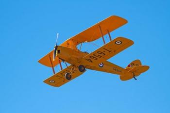 De Havilland DH 82A Tiger Moth Biplane, Warbirds over Wanaka, Airshow, New Zealand | Obraz na stenu