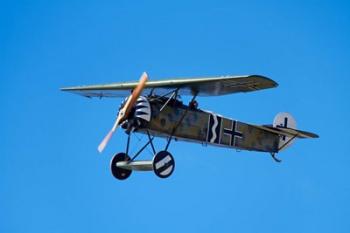 German WWI Fokker D-8 fighter plane, War plane | Obraz na stenu