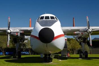 Argosy cargo airplane, Marlborough, New Zealand | Obraz na stenu