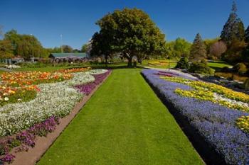 Pollard Park, Blenheim, Marlborough, New Zealand | Obraz na stenu