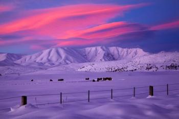 Sunset over Hawkdun Range and farmland, Maniototo, Otago, New Zealand | Obraz na stenu