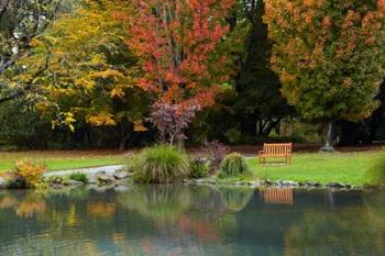 Autumn Color in Hagley Park, Christchurch, Canterbury, New Zealand | Obraz na stenu