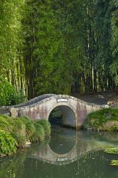 Chinese Scholar's Garden, North Island, New Zealand | Obraz na stenu