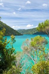 New Zealand, South Island, Marlborough, Nydia Bay | Obraz na stenu