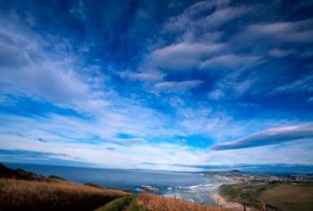 New Zealand, South Island, view towards Dunedin | Obraz na stenu