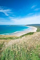 New Zealand, South Island, Catlins, Tautuku Bay | Obraz na stenu