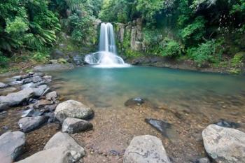 New Zealand, North Island, Coromandel Peninsula, Waiau Falls | Obraz na stenu