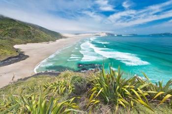 New Zealand, North Island, Cape Reinga, Te Werahi Beach | Obraz na stenu