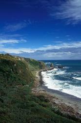 New Zealand, South Island, Cape Foulwind coastline | Obraz na stenu