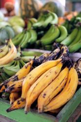 Fresh bananas at the local market in St John's, Antigua | Obraz na stenu