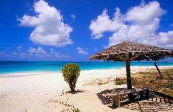 Coco Point Beach, Barbuda, Antigua | Obraz na stenu