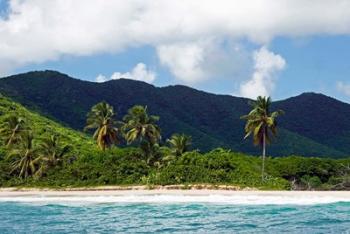 Tobacco Beach, Antigua, West Indies, Caribbean | Obraz na stenu