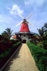 Windmill, Famous Old Mill Restaurant in Aruba | Obraz na stenu