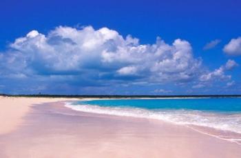 Pink Sand Beach, Harbour Island, Bahamas | Obraz na stenu