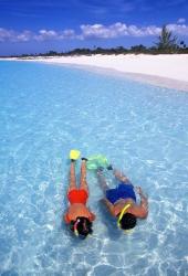 Snorkeling in the blue waters of the Bahamas | Obraz na stenu