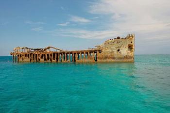 Cement shipwreck, Barnett Harbour, Bahamas | Obraz na stenu