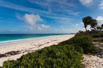 Bahamas, Eleuthera, Harbor Island, Pink Sand Beach | Obraz na stenu